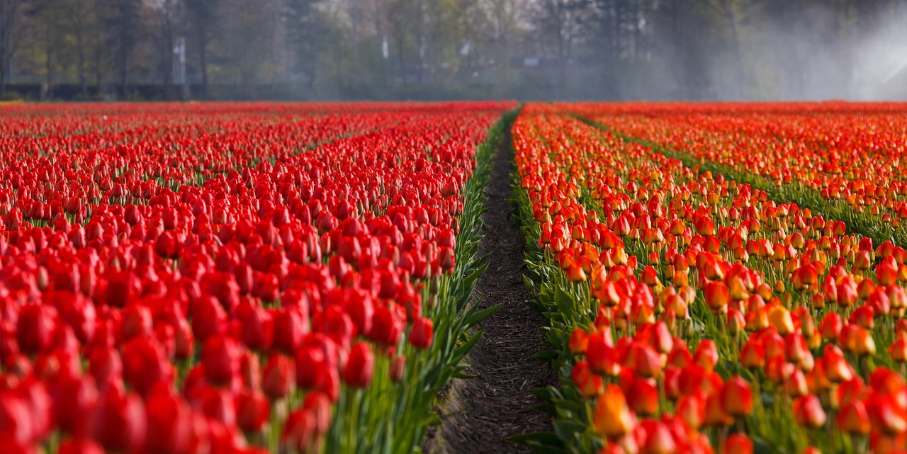 Comment créer une allée de jardin durable avec des matériaux récupérés ou peu coûteux ?