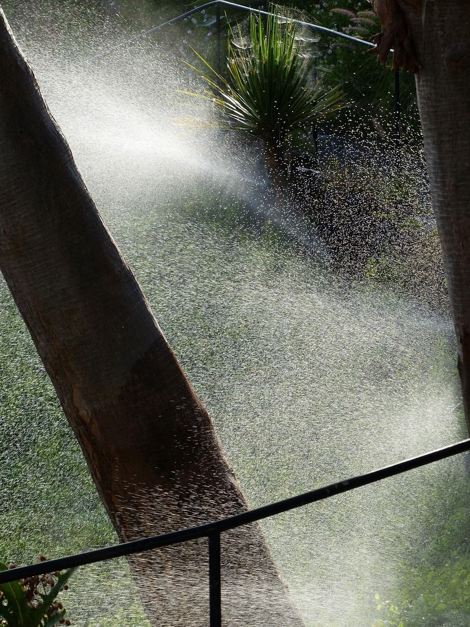 Pourquoi installer un système d’arrosage automatique dans son jardin et comment procéder ?