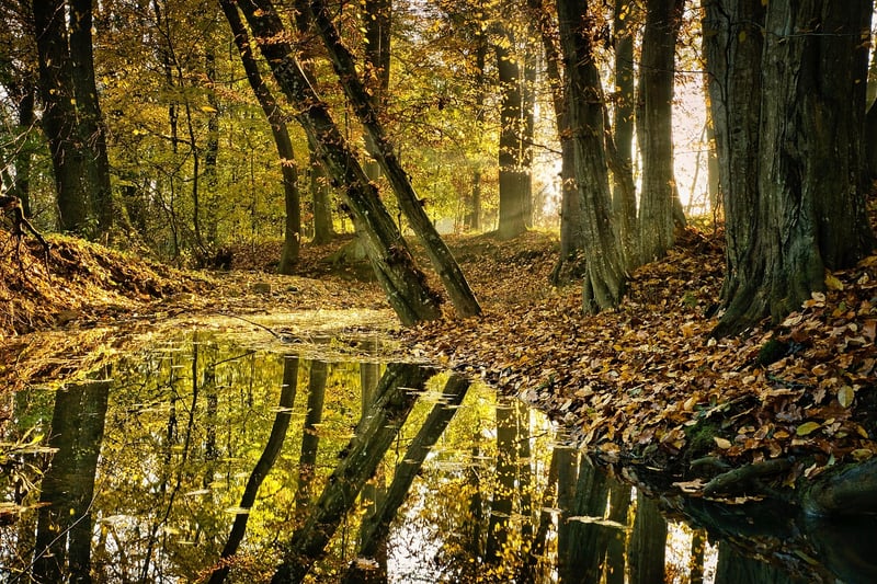 Bâche pour bois : comment bien la choisir et l’utiliser en 2026