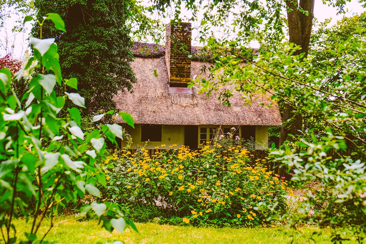 construisez un abri de jardin robuste et fonctionnel gr&acirc;ce &agrave; nos conseils et guides d&eacute;taill&eacute;s pour la construction d'un cabanon.
